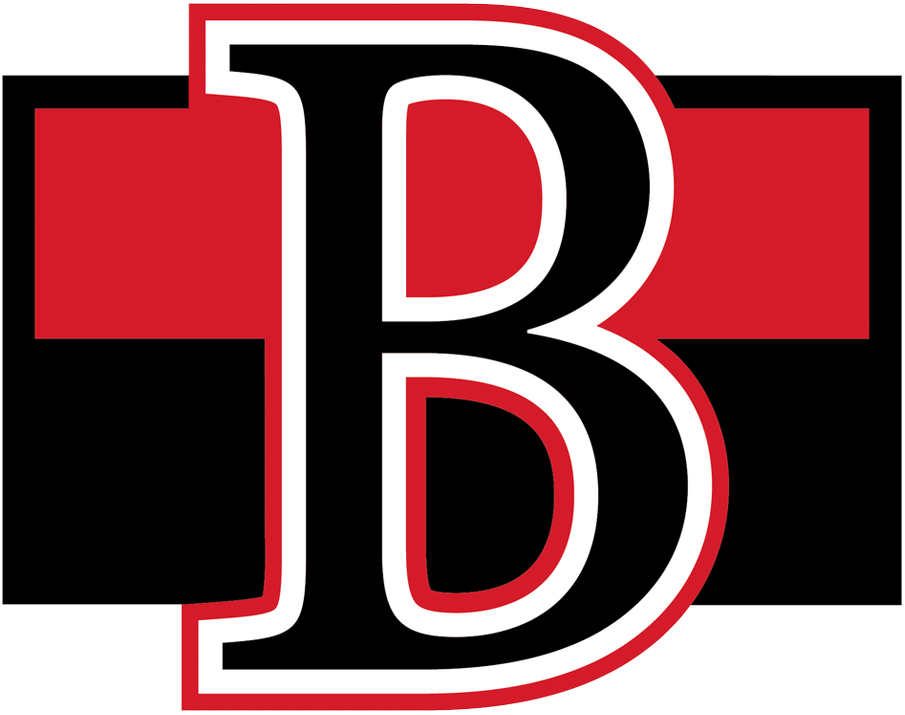 Belleville Senators 2017-Pres Primary Logo iron on heat transfer